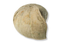 F 02270
<br/>
<br/>
<em></em>